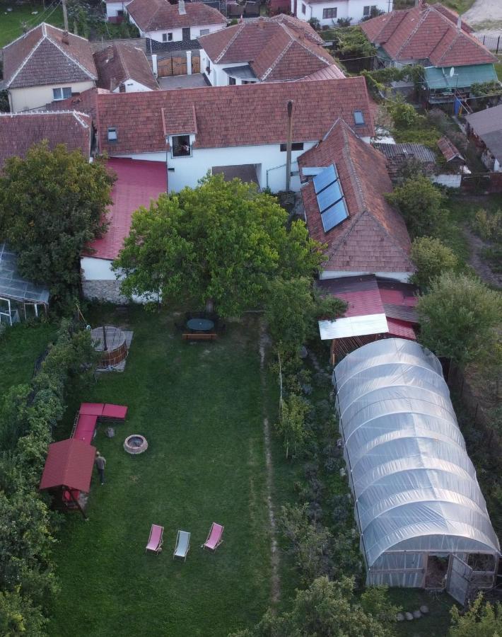 Casa Badea Hotel Riu Alb Bagian luar foto